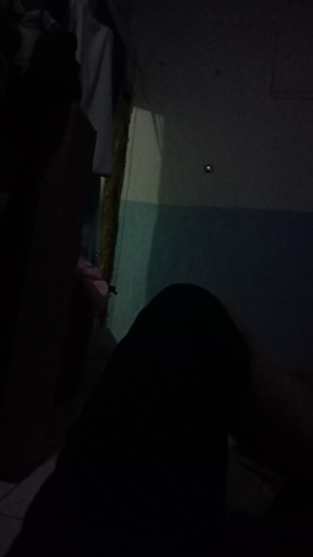 Sikat Spons Pembersih Cuci Botol Gelas Bottle Sponge Brush