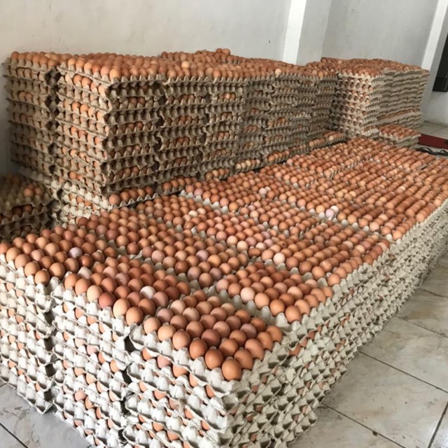 

Telur Ayam Ras per Kg