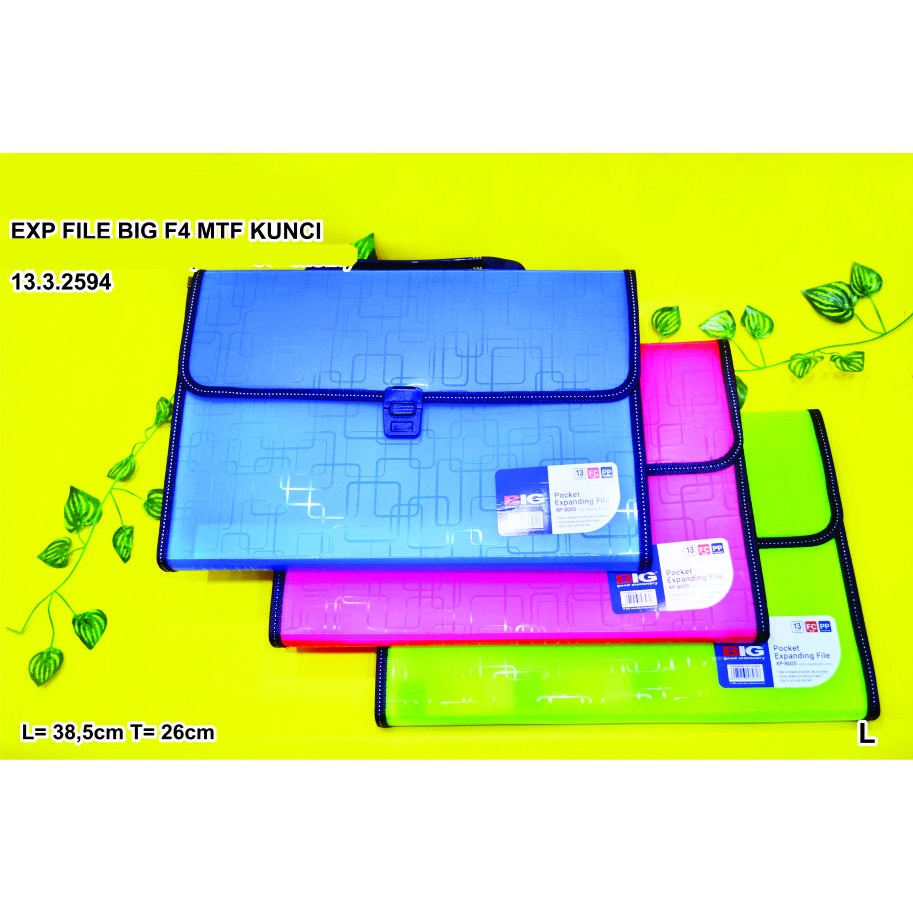 

Expanding File Big F4 XP 8005
