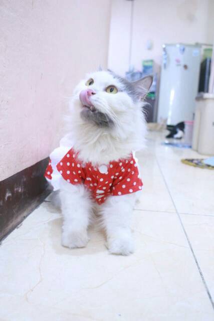 Dress polkadot merah spesial 17an merdeka / dress kucing dan anjing murah size S M L XL