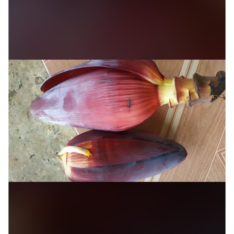 

SALE ✨ JANTUNG PISANG 500 gr