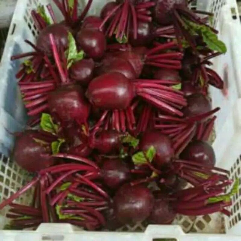 

Buah Beet Root/buah bit 1kg