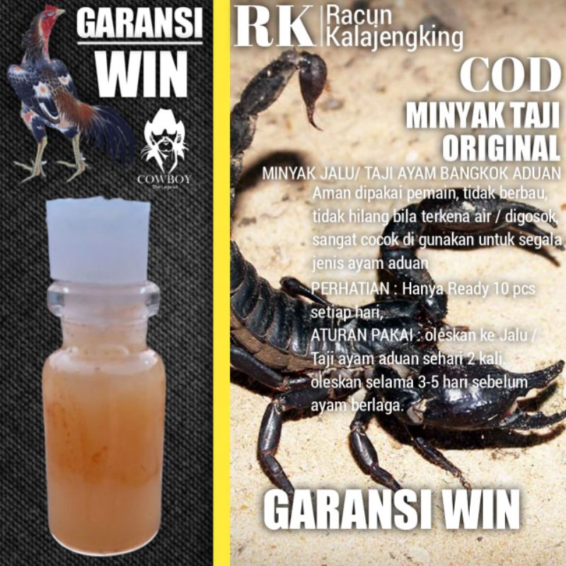 Minyak Taji sabung ayam Bangkok aduan petarung racun Jalu kalajengking