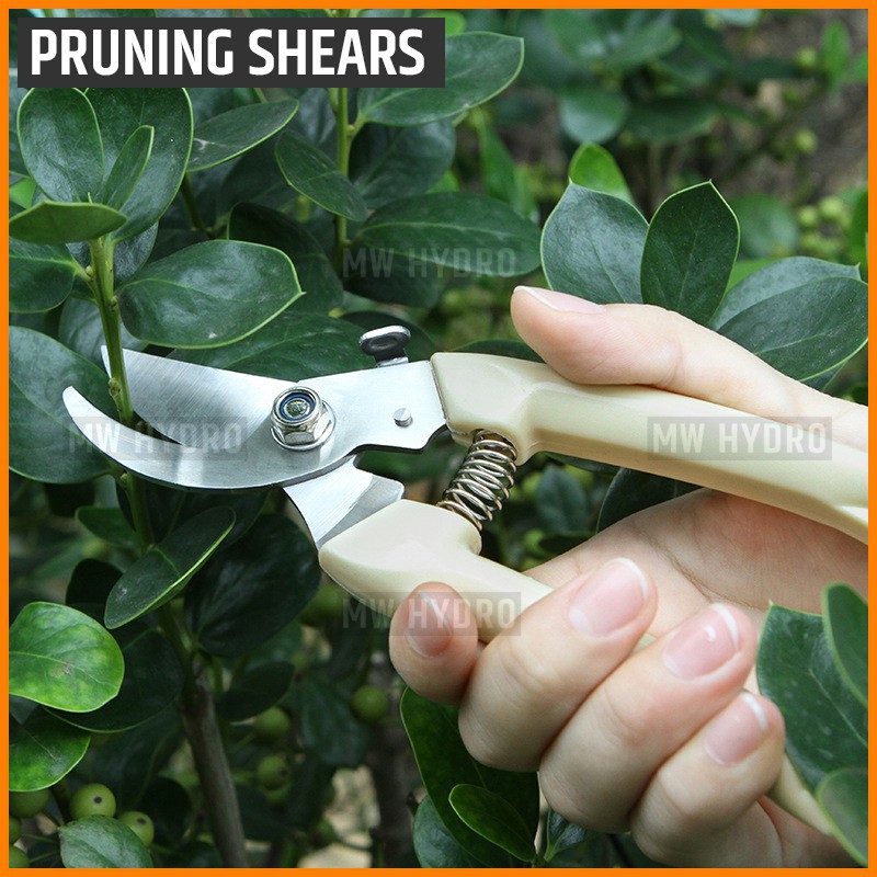 Gunting Dahan, Ranting Tanaman - Pruning Shears / Scissors - Curve