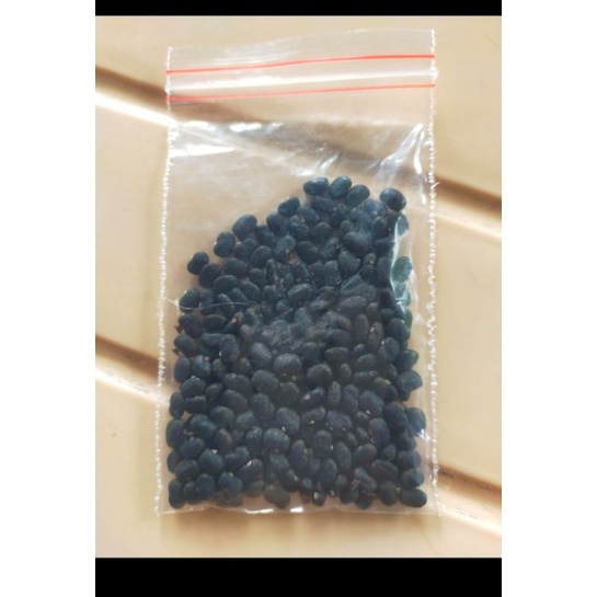 bibit bunga telang/biji bunga telang/bibit telang 5kg