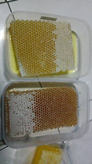 GROSIR Paket Hemat Kemasan 1 KG Madu sarang sarang madu melifera honeycomb madu liar madu asli madu