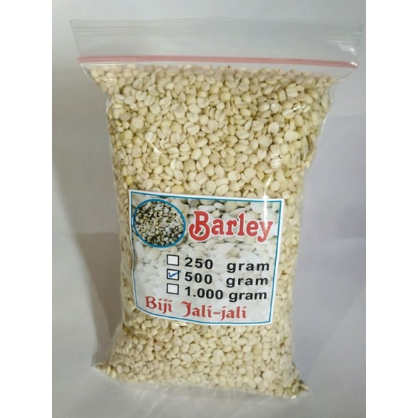 

Biji jali jali aceh lokal pearl barley hanjeli