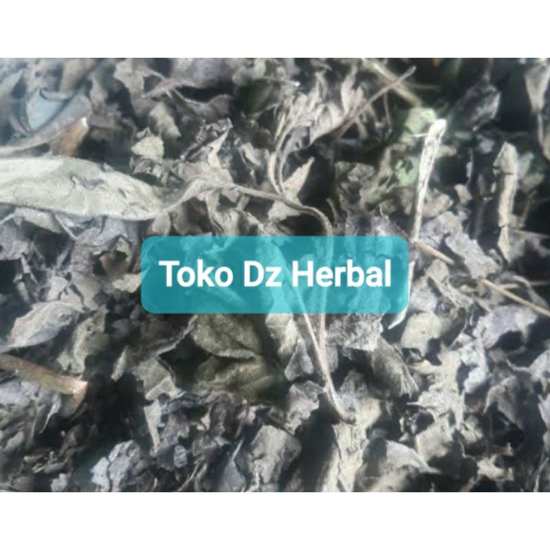 

Daun Kopasanda Kirinyuh Kering paket 1 Kg-az