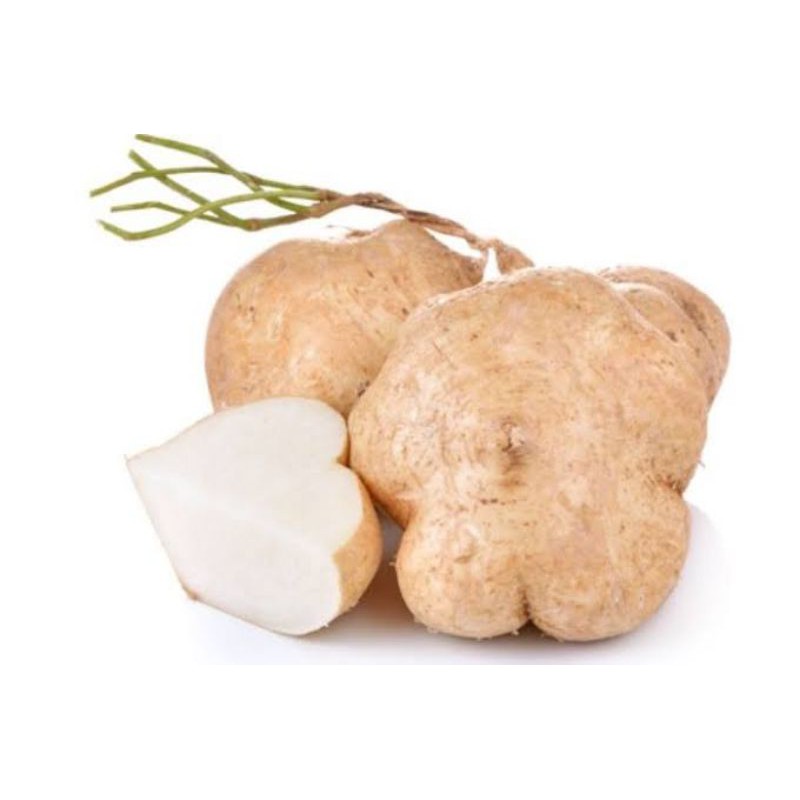 

Bengkuang Segar 500 gr