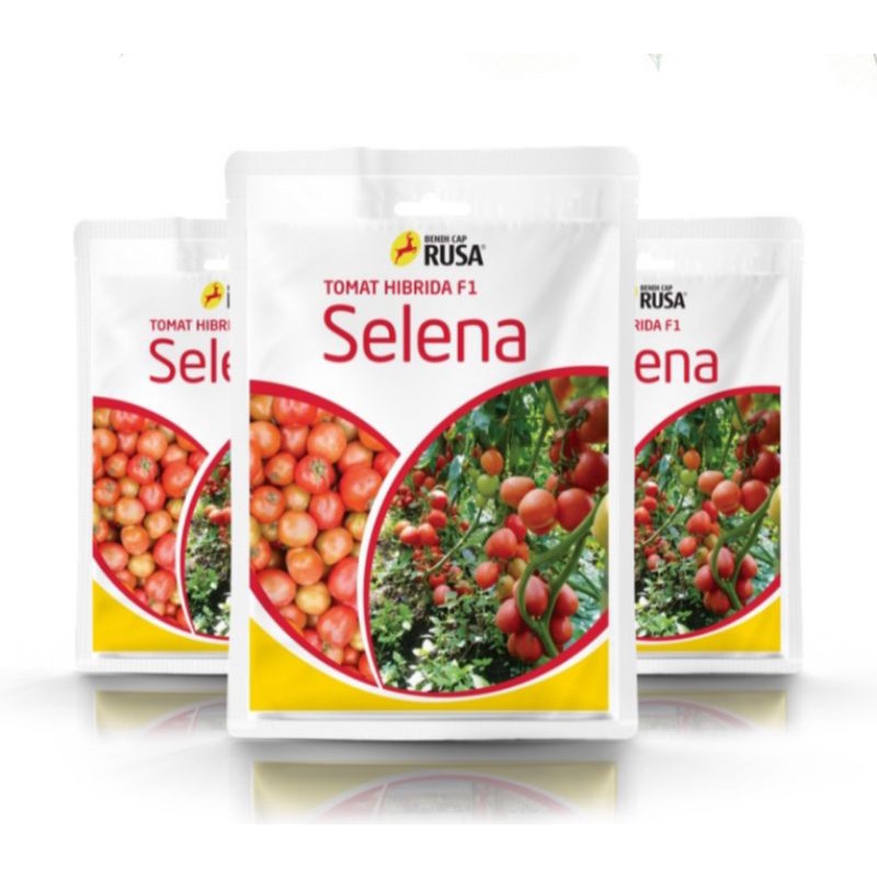 Benih bibit Tomat Selena F1 cap rusa