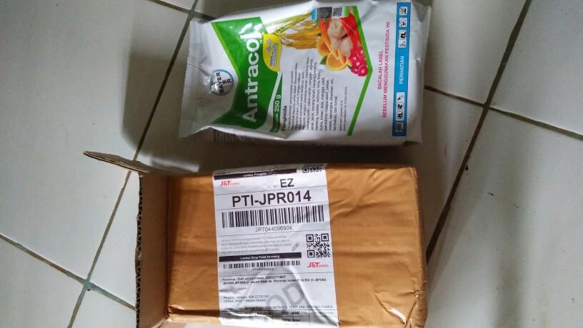 Fungisida Antracol 70 Wp Zinc Kemasan Pabrik 250 Gram