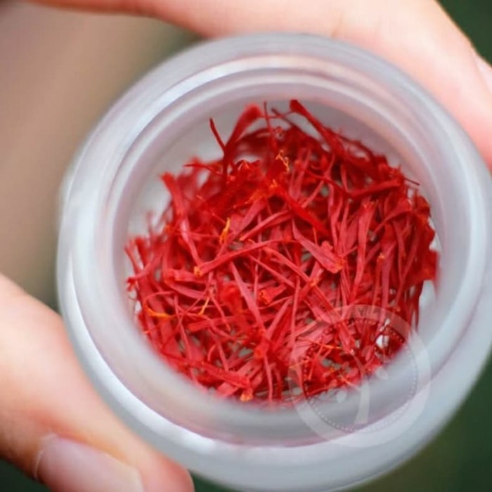 

Produk Terbaik - Saffron Super Negin 1Gr