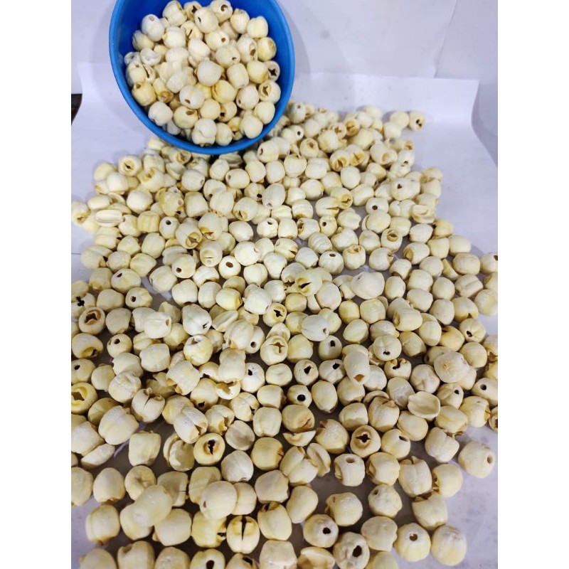 

Biji teratai/Lian zi 500 gr/super