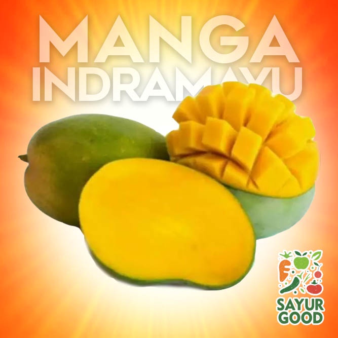 

Mangga Indramayu Segar / Buah Mangga Indramayu 1 Kg (Buah Segar)