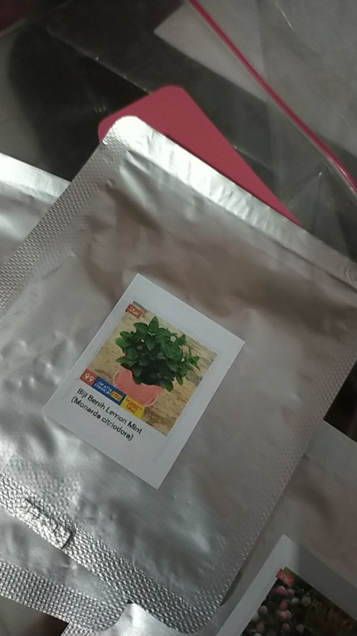 Biji Benih Lemon Mint (monarda Citriodora)