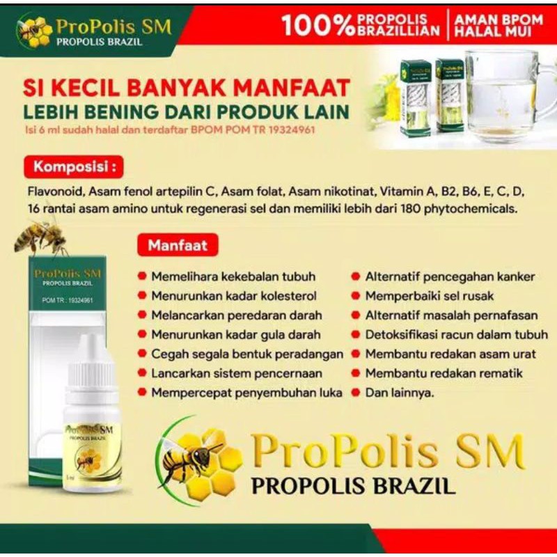 Propolis SM propolis brazilian brazil 100% Original asli