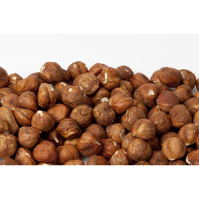 

Hot Promo!! Raw Hazelnut 1 Kilogram Kacang Hazelnut Kulit 1KG