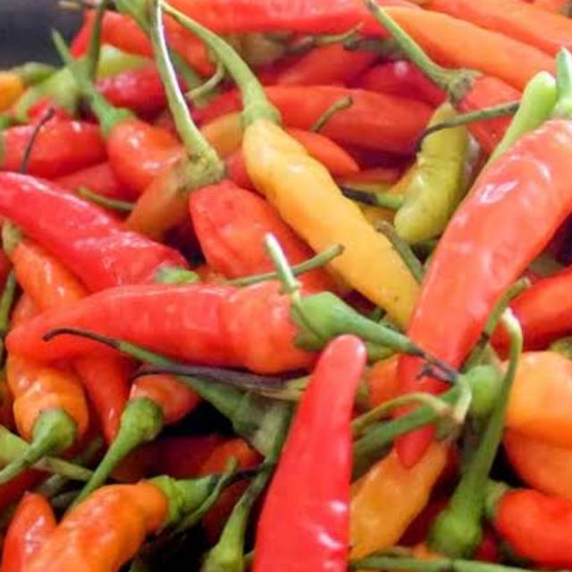 

Cabai cengek setan domba 250gr 500gr 1000gr