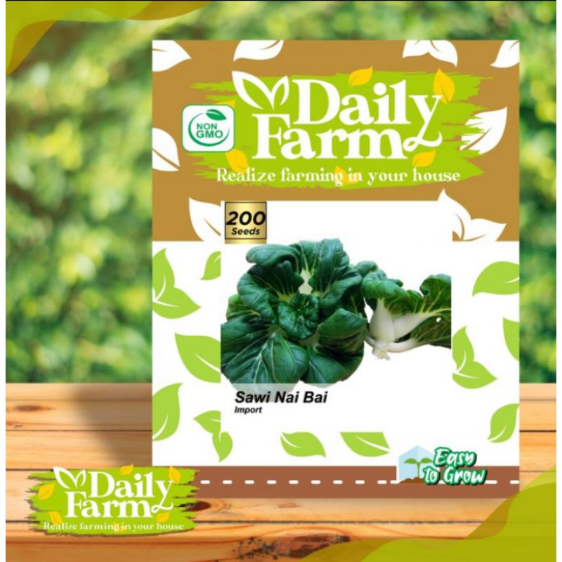 Benih Bibit Sawi Nai Bai - Daily Farm
