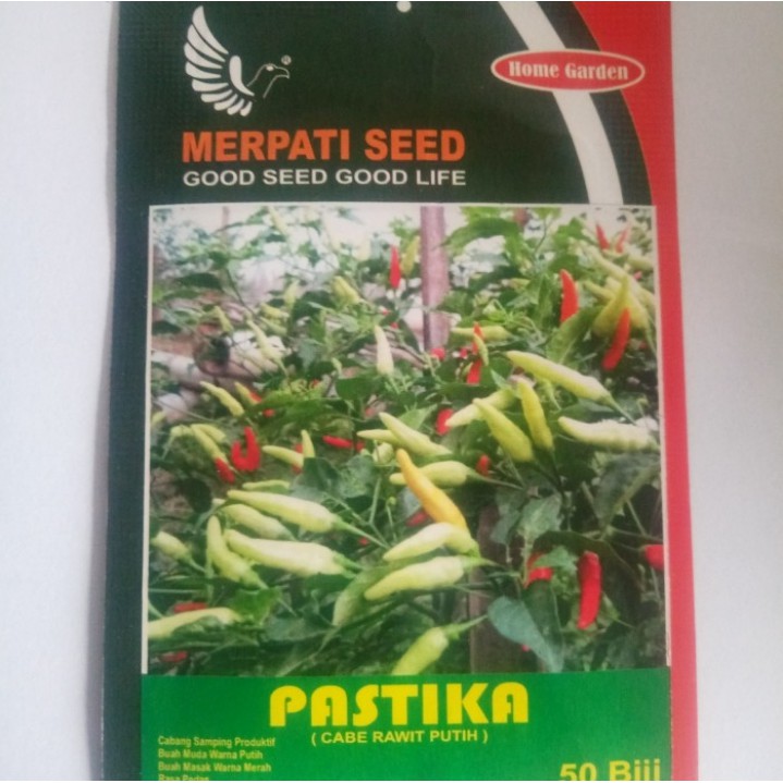 Benih cabe rawit putih MERPATI SEED