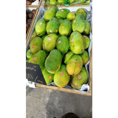 Mangga Harum Manis 900 gram - 1 Kg