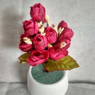 Set Pot Bunga Mawar Cantik 15 Kelopak Aneka Warna Set Pot Bunga Mawar Cantik 15 Kelopak Aneka Warna