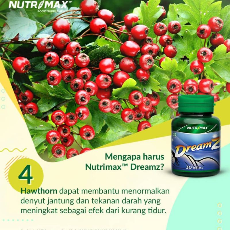 NUTRIMAX SWEET DREAMS DREAMZ DREAM VITAMIN OBAT SUSAH TIDUR NYENYAK