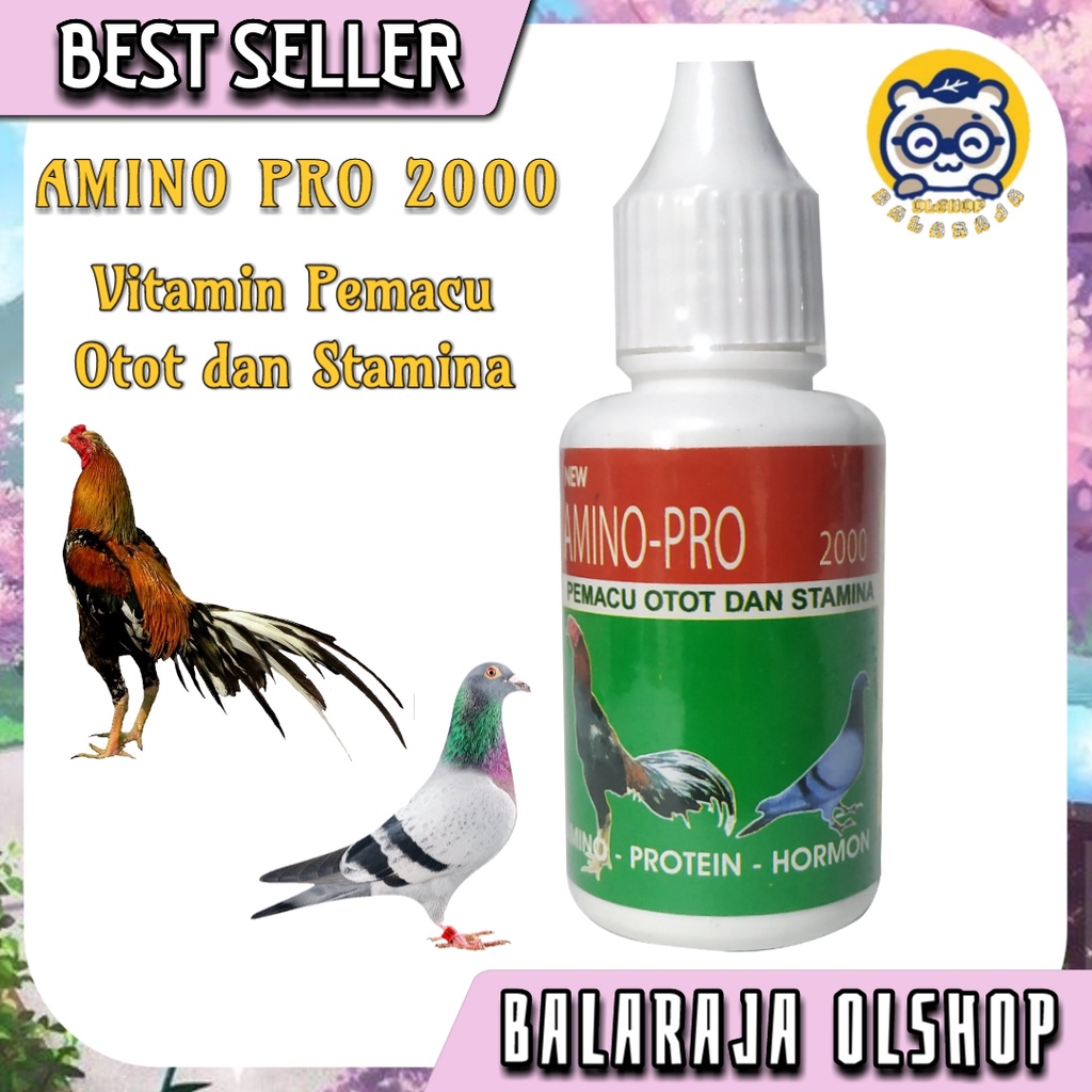 VITAMIN AYAM JAGO PENAMBAH NAFSU MAKAN OBAT BURUNG DARA MERPATI AMINO PRO 2000