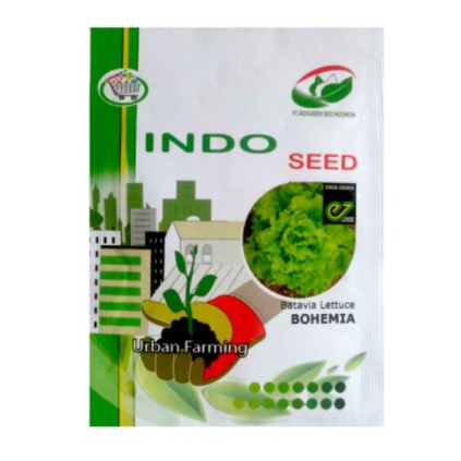 Benih Bibit Selada Bohemia 1gr Biji Batavia Lettuce Sayuran Hidroponik