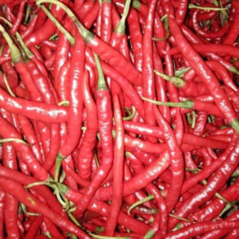 

Cabe merah keriting 250 gr