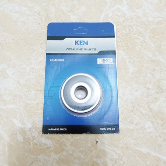 Bearing 6300 2RS /Laher 6300 2RS Ken