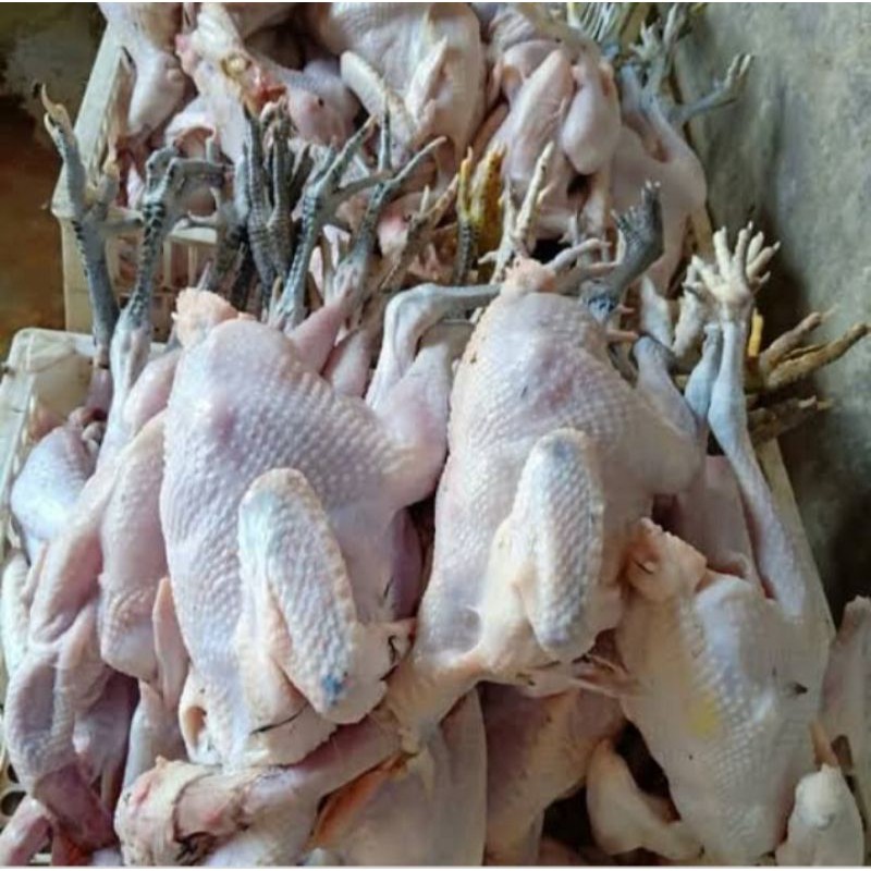 

ATAM KAMPUNG ASLI SEGAR DAN FRESH