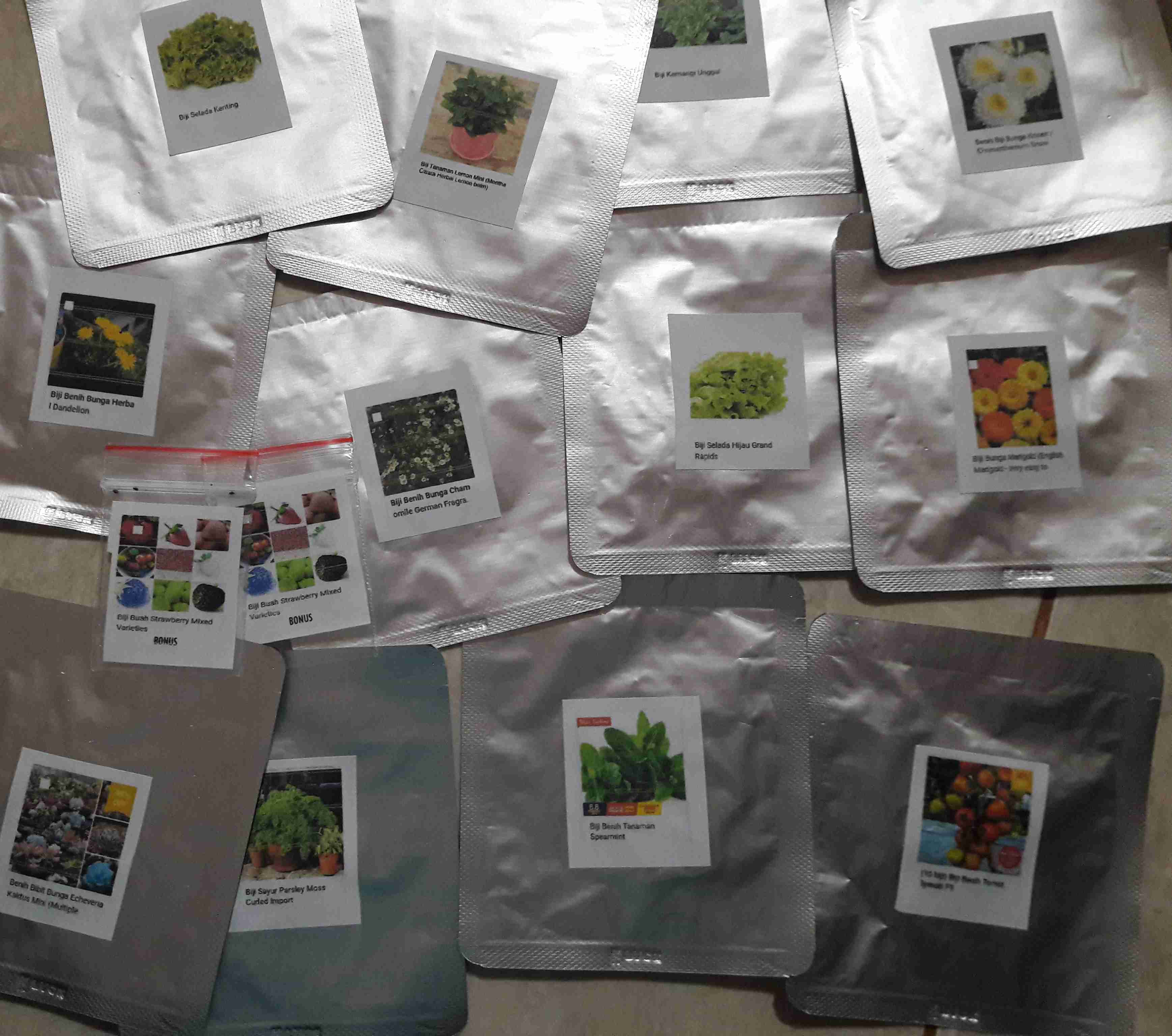 Biji Benih Sayur Bayam Merah