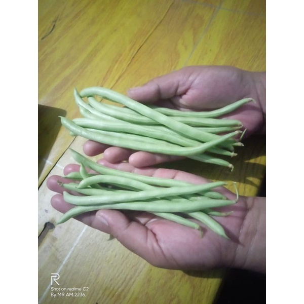 

buncis / bean / buncis manis 500 gram