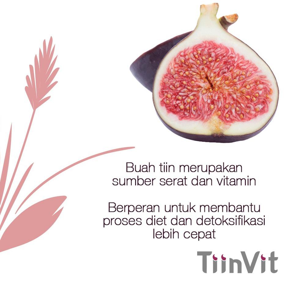 

MacAm2's TiinVit Sari Buah TIN |J6S005 ..,