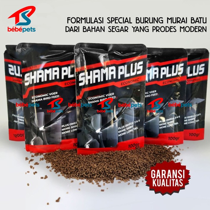 VOER MURAI BATU SHAMA PLUS PUR PAKAN BURUNG MURAI