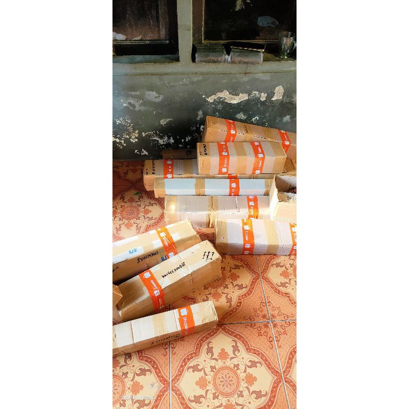 Zico Stored Bahan Ground Bonsai Kimeng/ As Gabung Batang