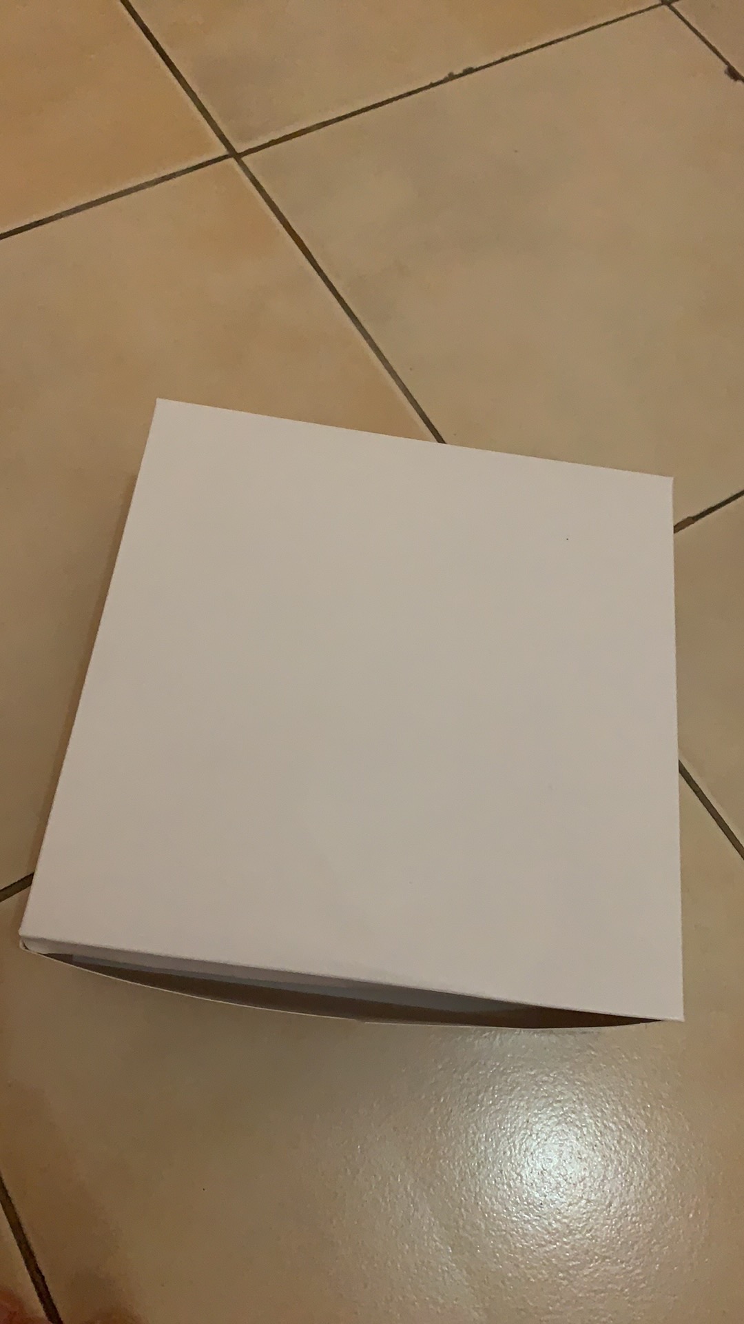 Dnl Dus Cake Box Kemasan Nasi Katering Kotak Catering Tutup Sambung Eco Pack Foodgrade 20x20 Cm