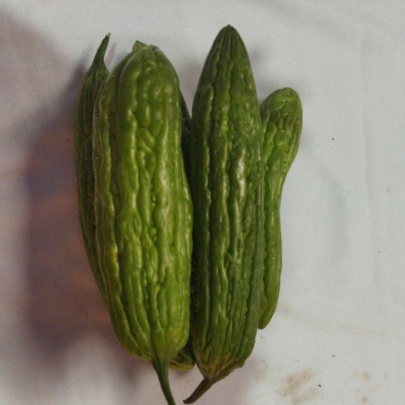 

PARE SEGAR 500gr