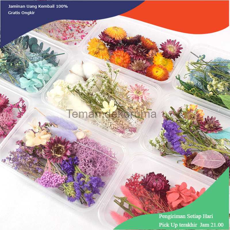 TD-A101 Inmilcia Bunga Kering Aromatherapy Real Dried Flower - A015