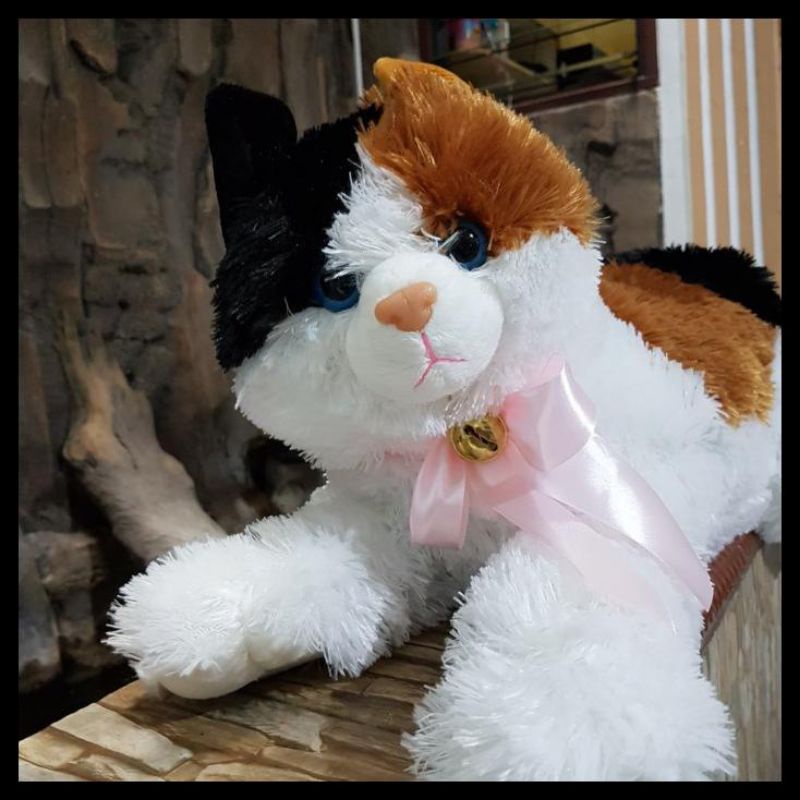 SNI ! Boneka Kucing Jumbo 55 cm LUCU ESMERALDA   gemes kado anak pacar sahabat cewek JUMBO BESAR MINI KECIL  everly.id everlyid gemoy lucu