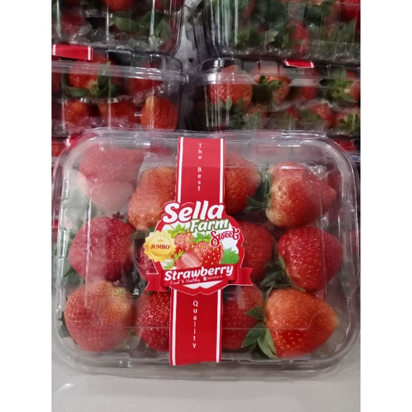 

Strawberry organik SellaFarm Jumbo 500gram