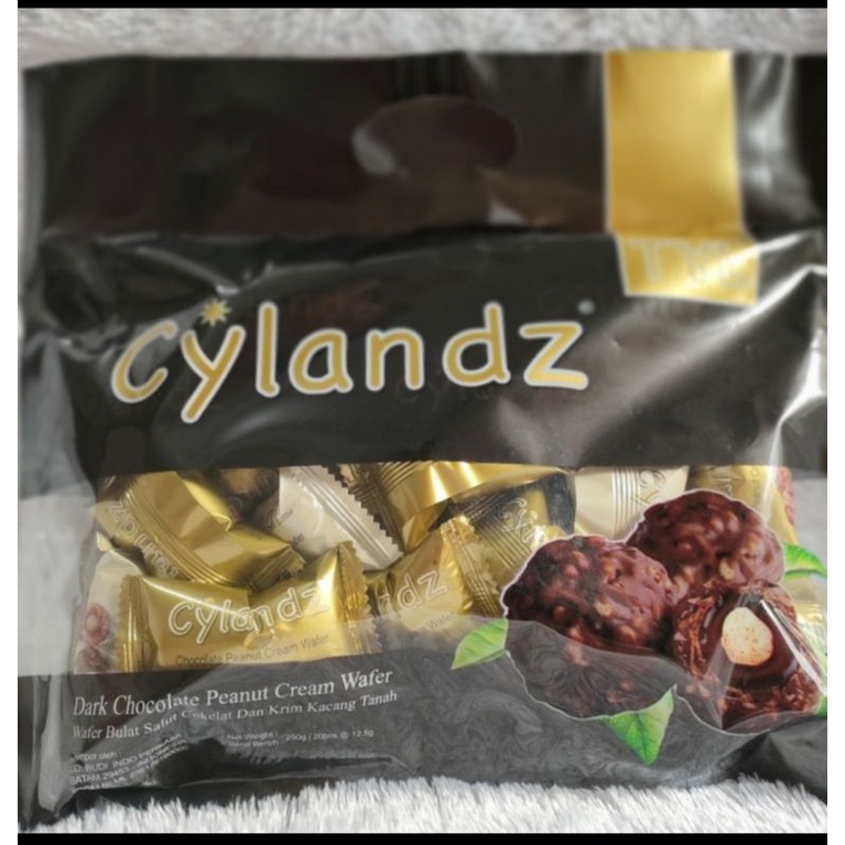 

CHOCOLATE DARK PEANUT CYLANDZ | WAFER BULAT LAPIS COKELAT DARK & KRIM KACANG