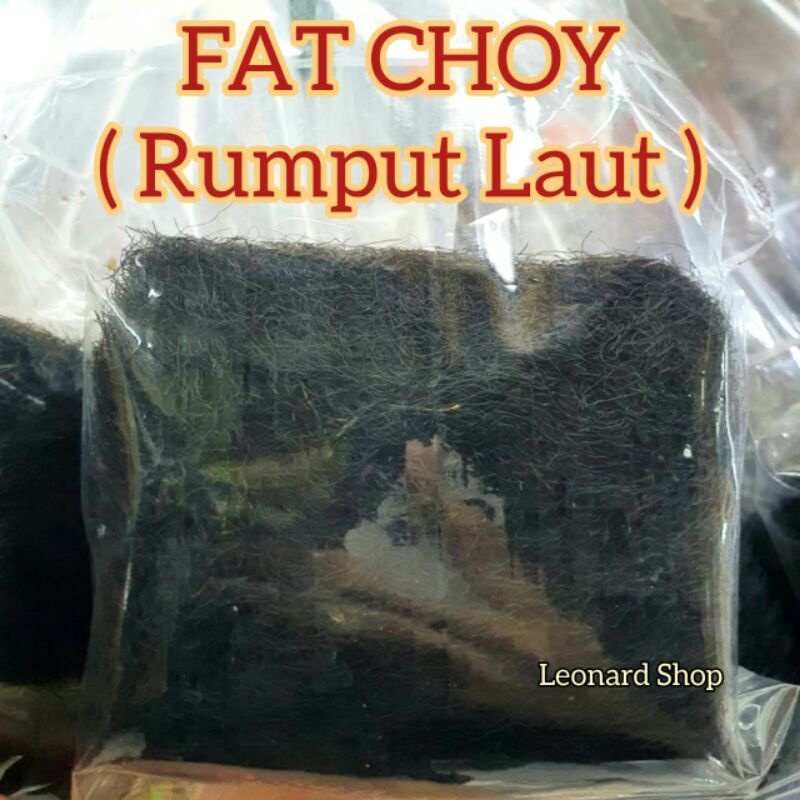 

Fat Choy Rumput Laut Kering Super / Dried Seaweed / Sayur Rambut / Fatt Choi / Fa Cai / Zi Chai Cocok Untuk Retoran Masakan Ayam Tim Obat dan Sup Baso