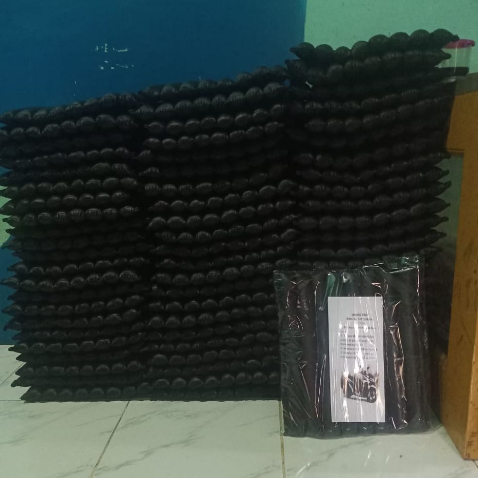 

HAYDRO PAD bantal air dingin motor