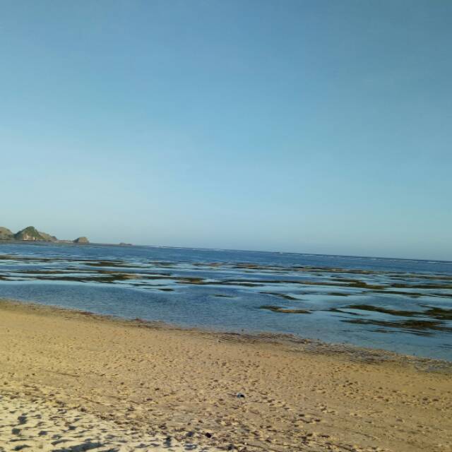 pricameisaridewinovita