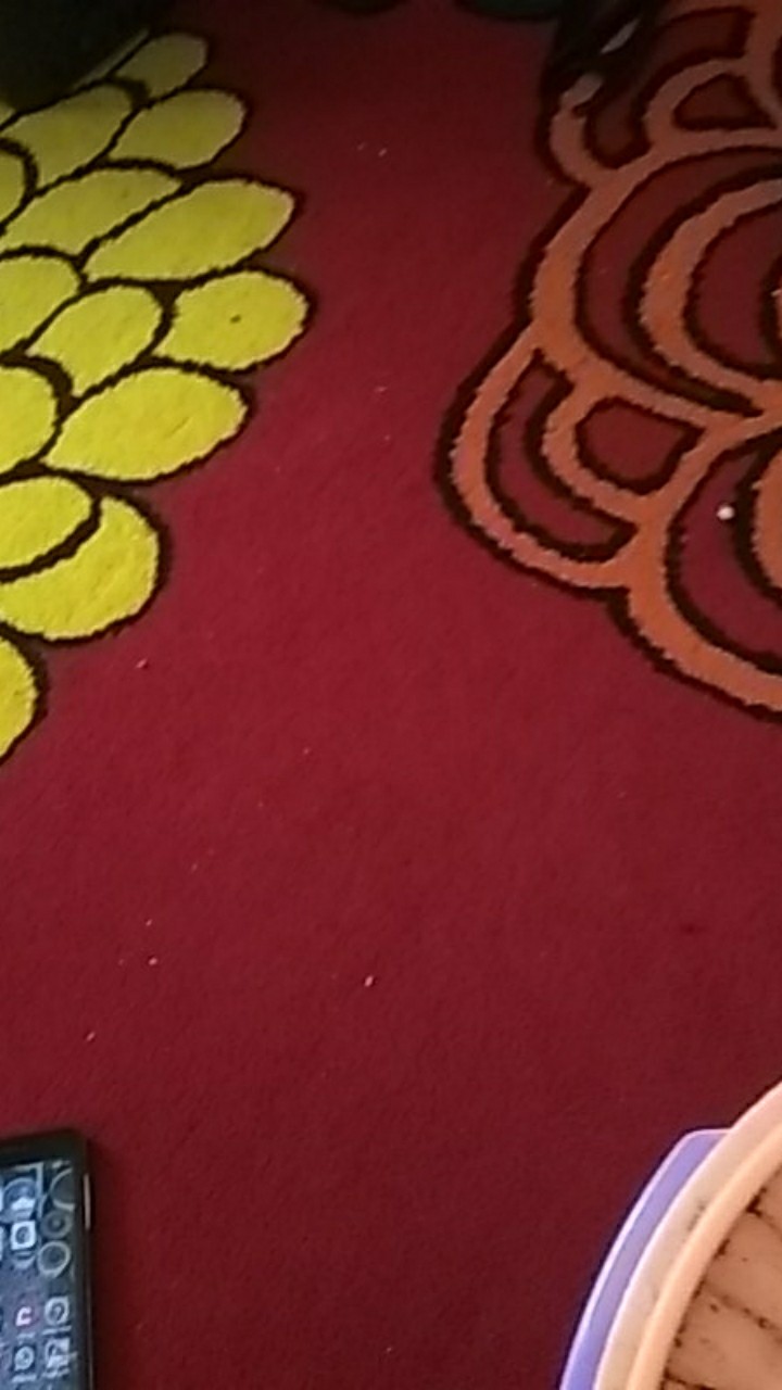 Wallpaper Vinyl Bertekstur, Timbul Dan Tebal - C237