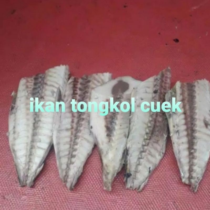 

IKAN CUEK TONGKOL/1 P0TONG