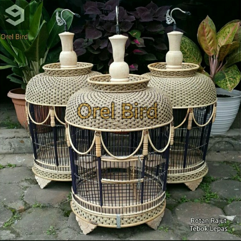 Sangkar perkutut rotan rajut ( Mataram).