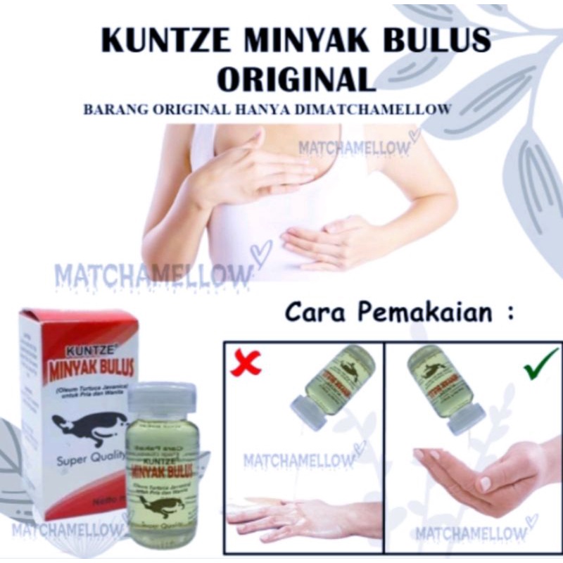 MINYAK BULUS KUNTZE ORIGINAL - Super Quality